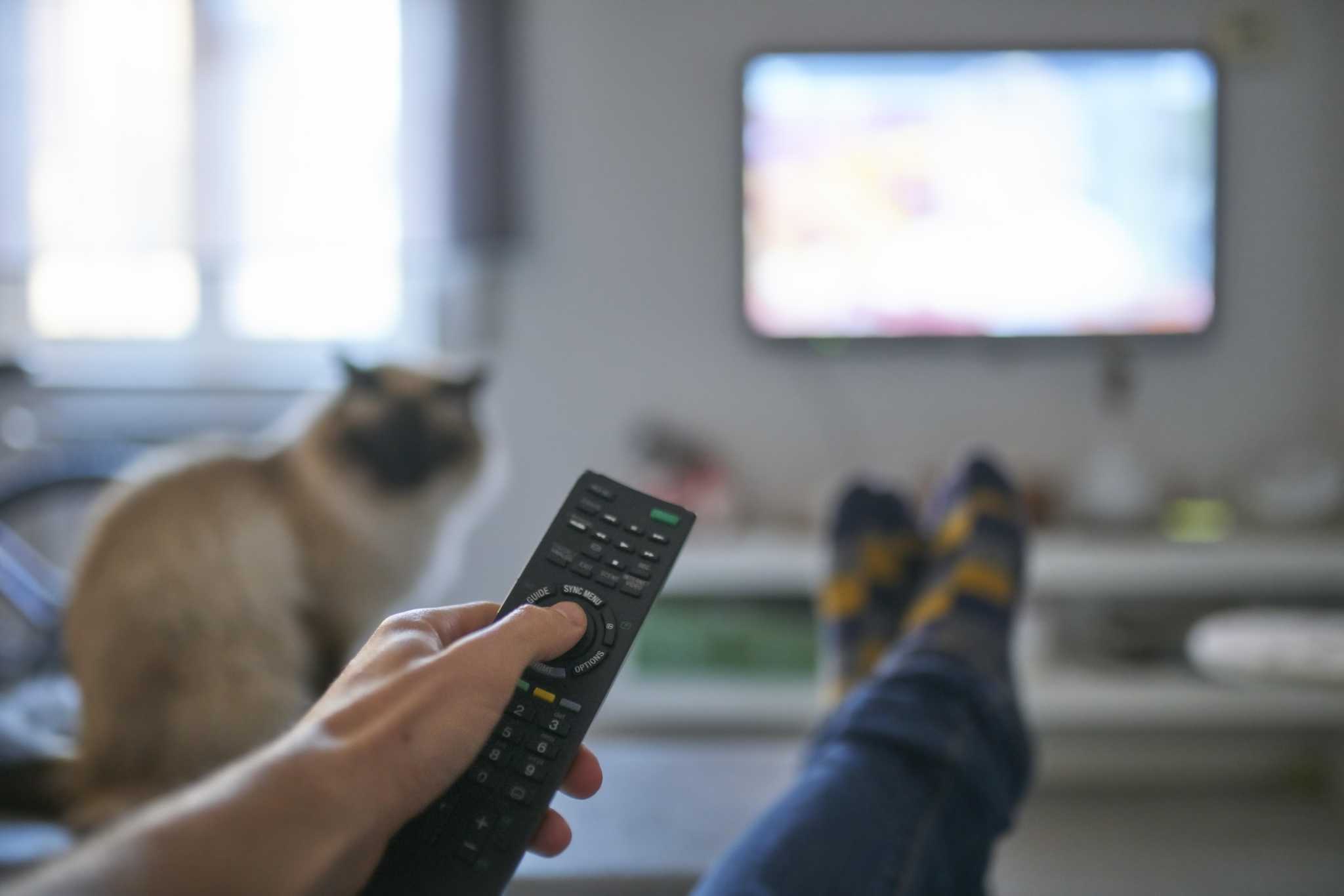 Commentary: Navigating the vast wasteland of television - Vimarsana News