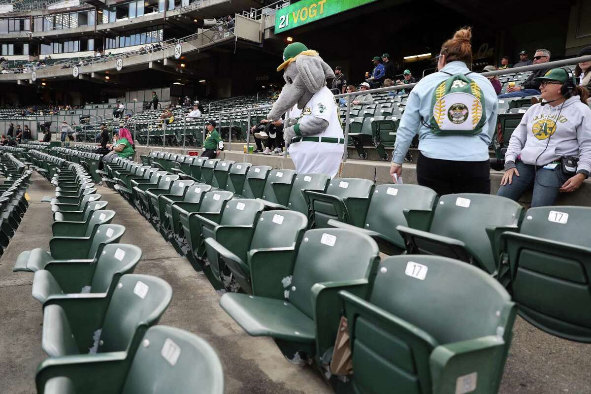 Oakland Athletics' mascot Stomper walks in the stands as A's play Baltimore Orioles in front of a couple thousand fans during MLB game at Oakland Coliseum in Oakland, Calif, on Wednesday, April 20, 2022.