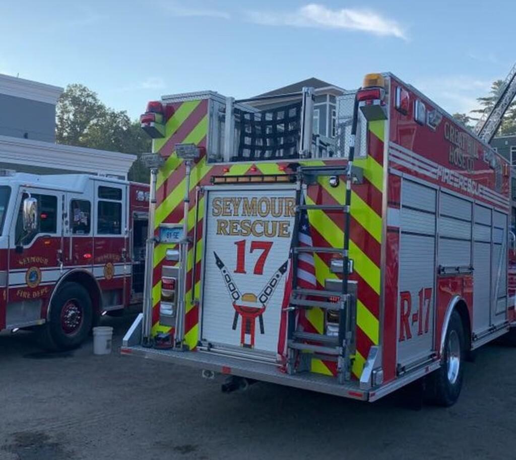 More than 10 chickens die in Seymour coop fire