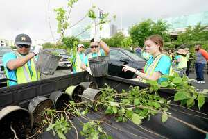 Fans line up for 2,500 trees at Minute Maid Park Earth Day...