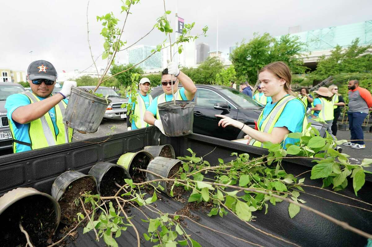 NRG helps plant trees around Houston