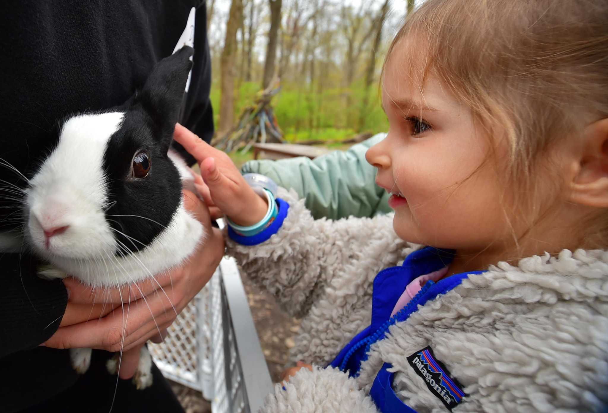 In photos: Darien celebrates Earth Day with 'Spring Into Nature Festival' - Vimarsana News