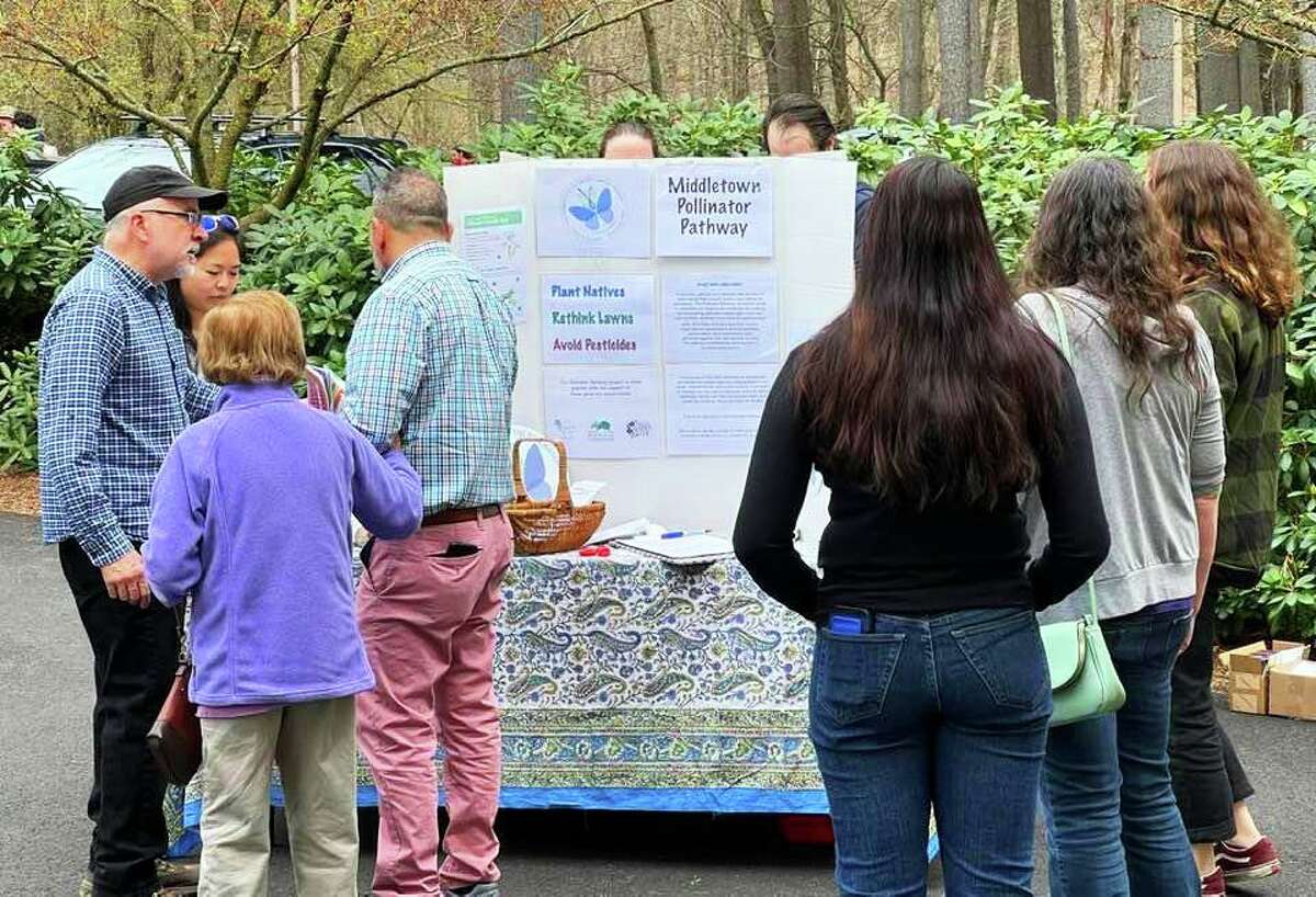 How pollinator pathways project is turning Middletown lawns into thriving ecosystems