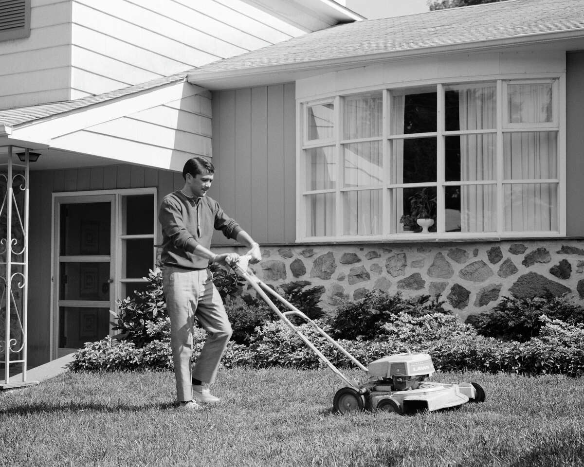 A gas-driven rotary mower, 1966.
