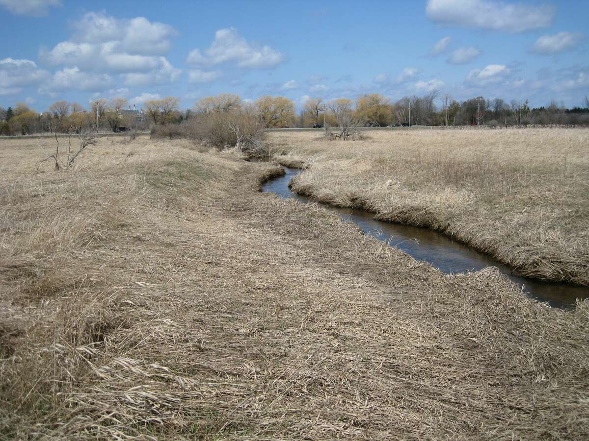 Fisheries Habitat Grant funds will be used to plant trees along Kids Creek in Grand Traverse County to improve aquatic habitat.