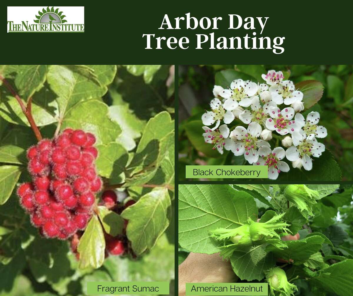 The Nature Institute at 2213 S. Levis Lane, in Godfrey will be celebrating Arbor Day by planting various shrubs 1-3 p.m. on Friday, April 29.