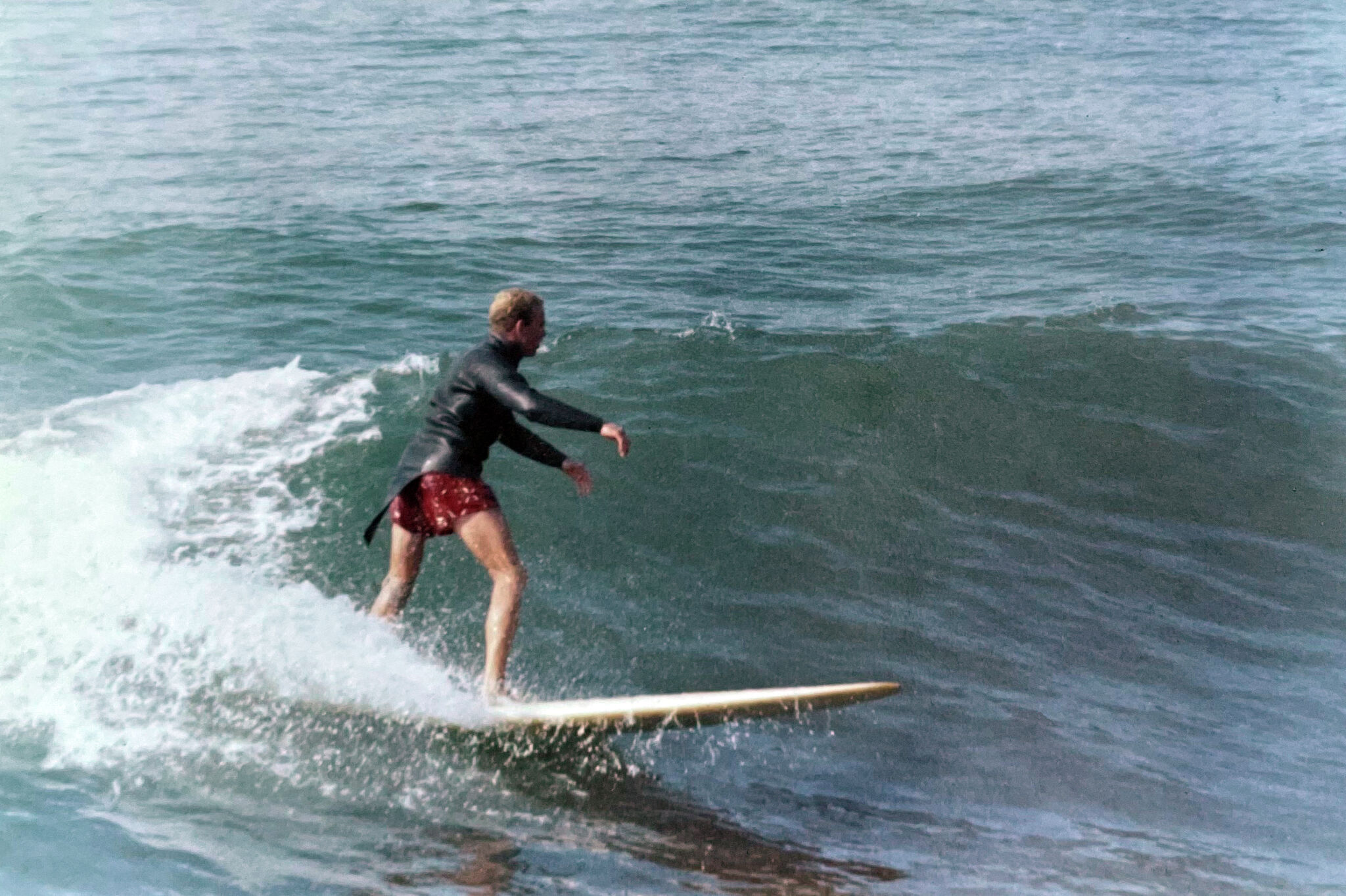 Ano Nuevo Surfing