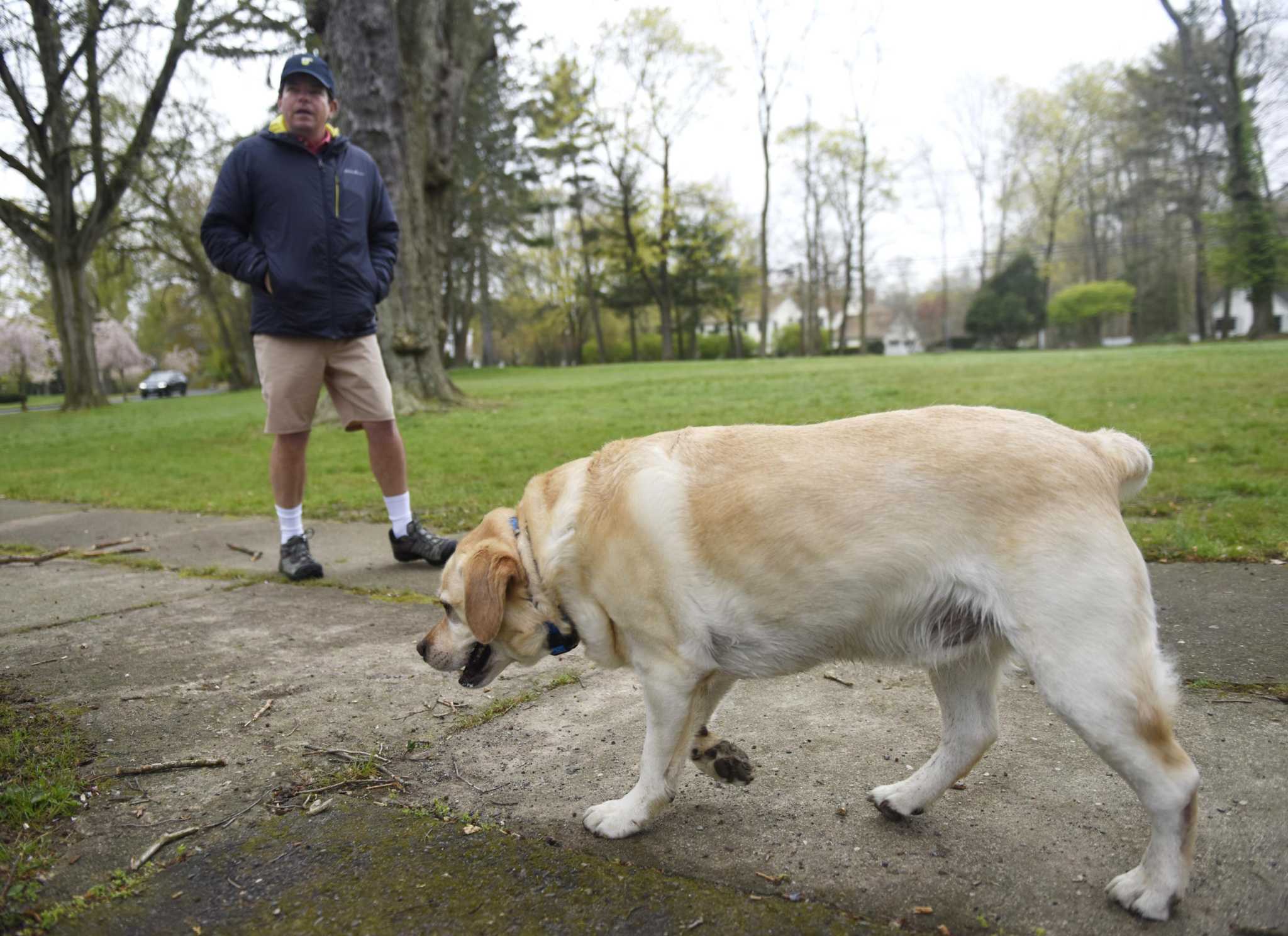 When it comes to dogs on leashes, Darien looks for ways to 'get everyone to follow the rules' in parks - Vimarsana News