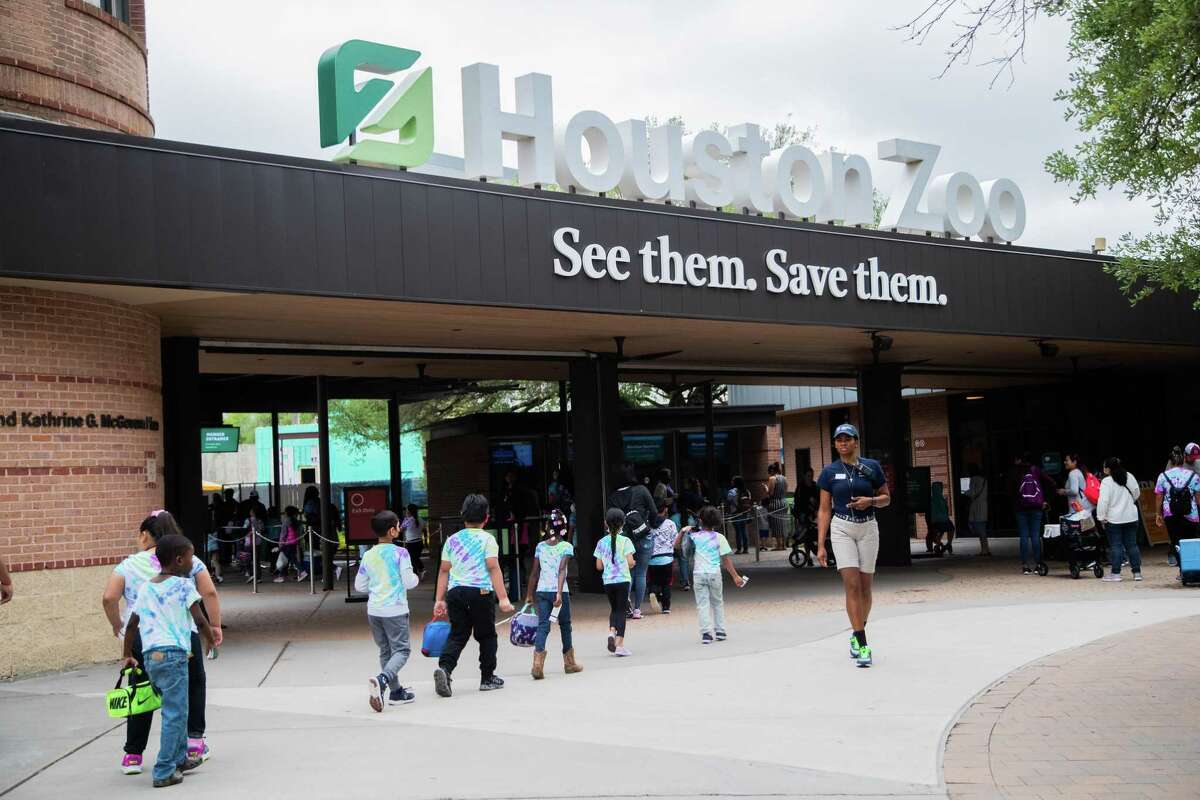 Houston Zoo free days: When it is, best exhibits to see, zoo hours