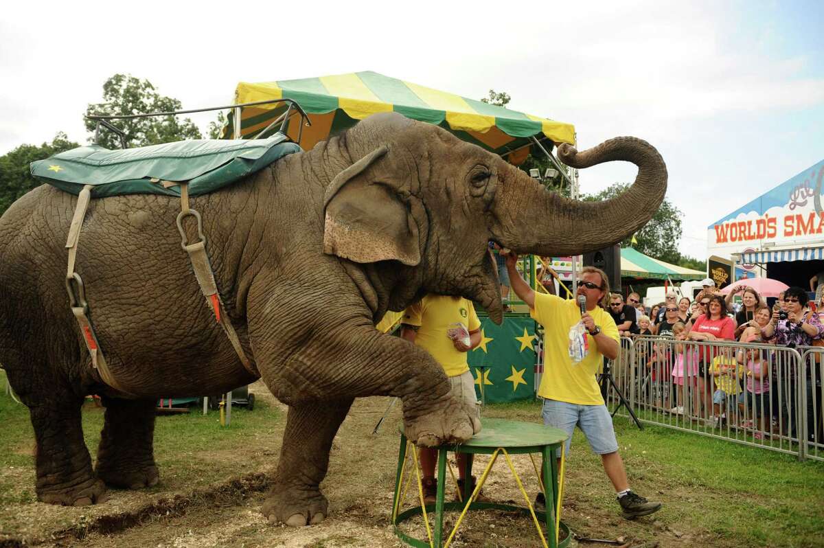Tim Commerford feeds his elephant Beulah a marshmallow while introducing him to fairgoers at the New Jersey State Fair in Augusta for in 2013.