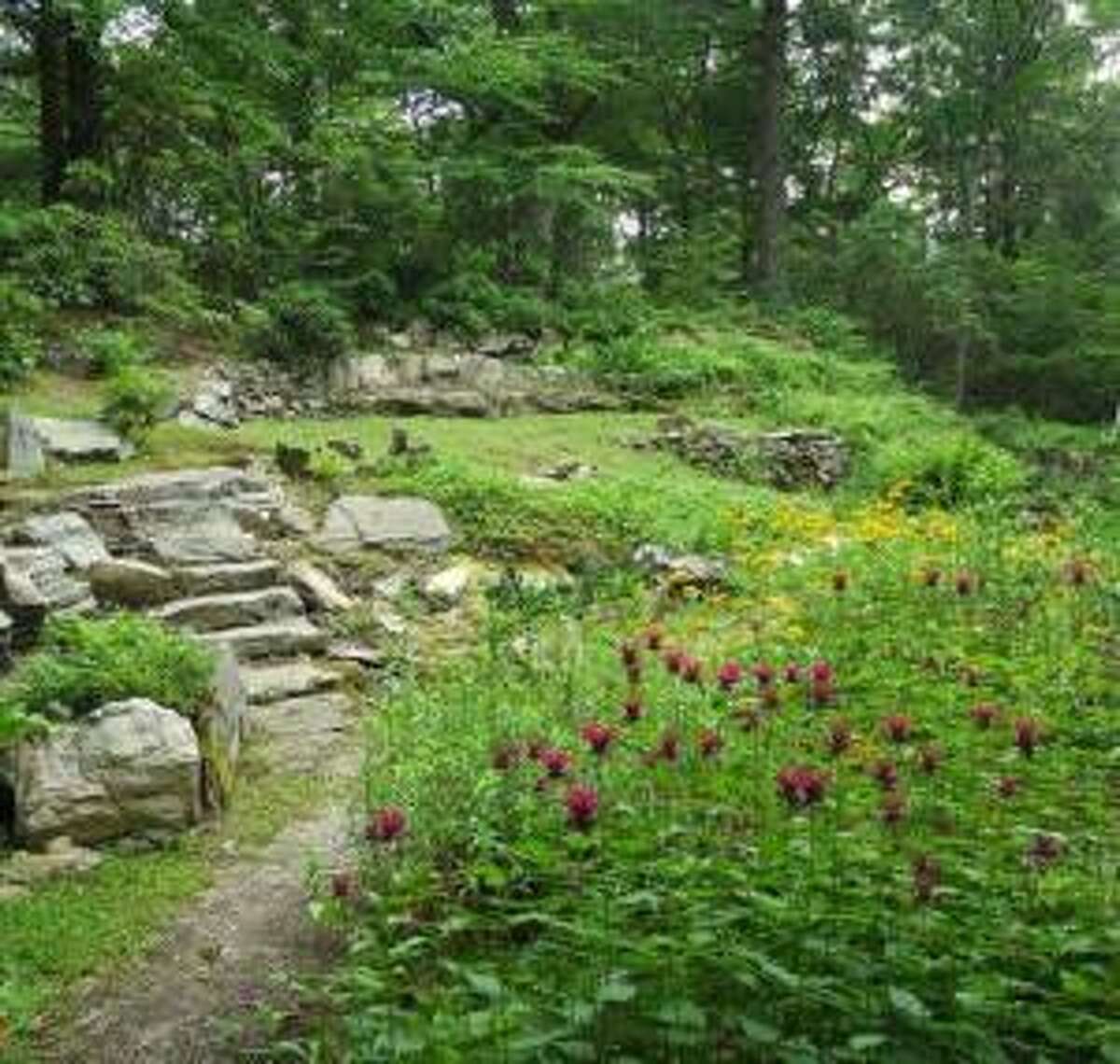The Eklund Wildflower Garden is located at 10 Oak Valley Road, near Hope Lake in Shelton, on the site of a former upscale log cabin built in the 1930s.