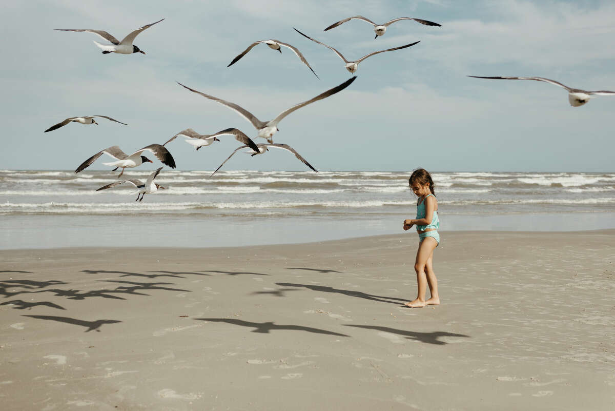 Girl and seagulls on beach in Corpus Christi, Texas. 