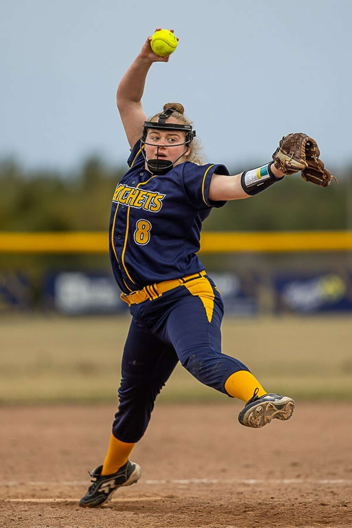 Bad Axe's Haley Newland set the strikeout record for the Lady Hatchets with her 208th strikeout.