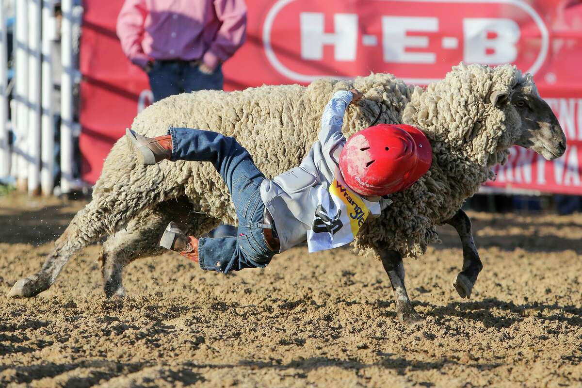 Cornyval in Helotes this weekend includes mutton bustin’.