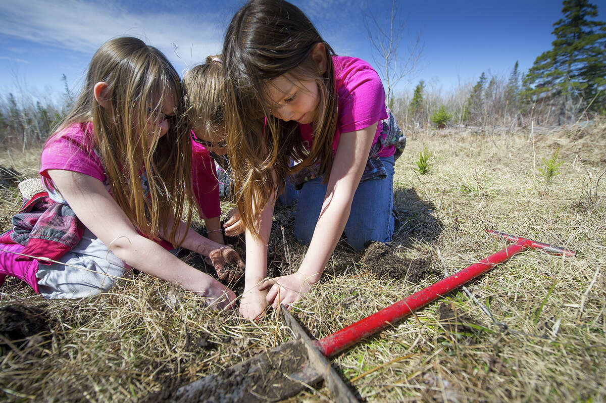 Once you plant a tree, you can help the DNR meet its tree-planting goal by logging your tree on the interactive online map.