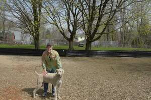 With increased membership, New Milford Dog Park get repairs