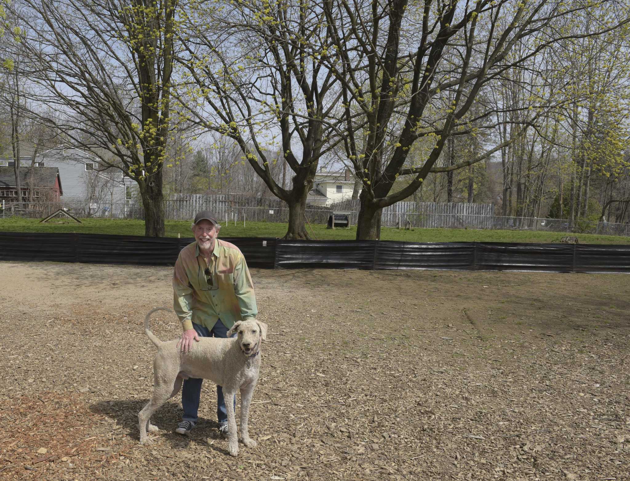 New Milford 'Candlewoof' dog park gets repairs: 'Safe space and a fun place for dogs and for people' - Vimarsana News