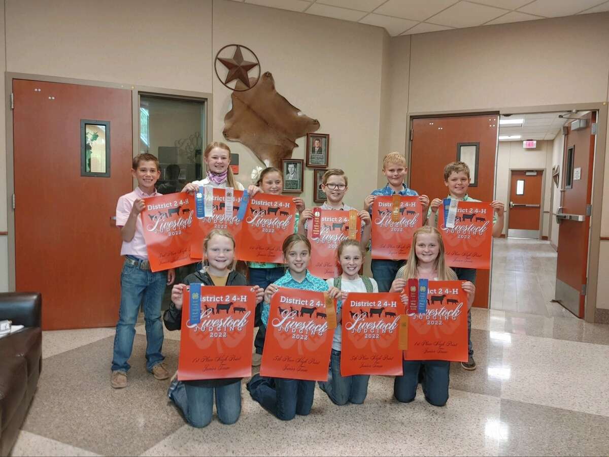 Hale County 4-H members recently brought home several accolades from the District 2 4-H Livestock Judging Contest. 