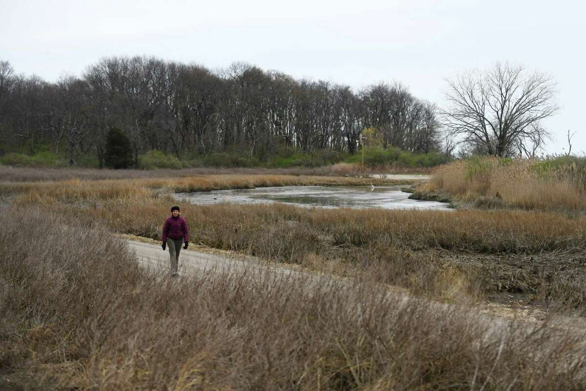 Riverside's Elsa Spencer wlaks through the marshland of Greenwich Point Park in Old Greenwich, Conn. Thursday, April 21, 2022. Greenwich Point will be restricting itself to pass holders only starting May 1.
