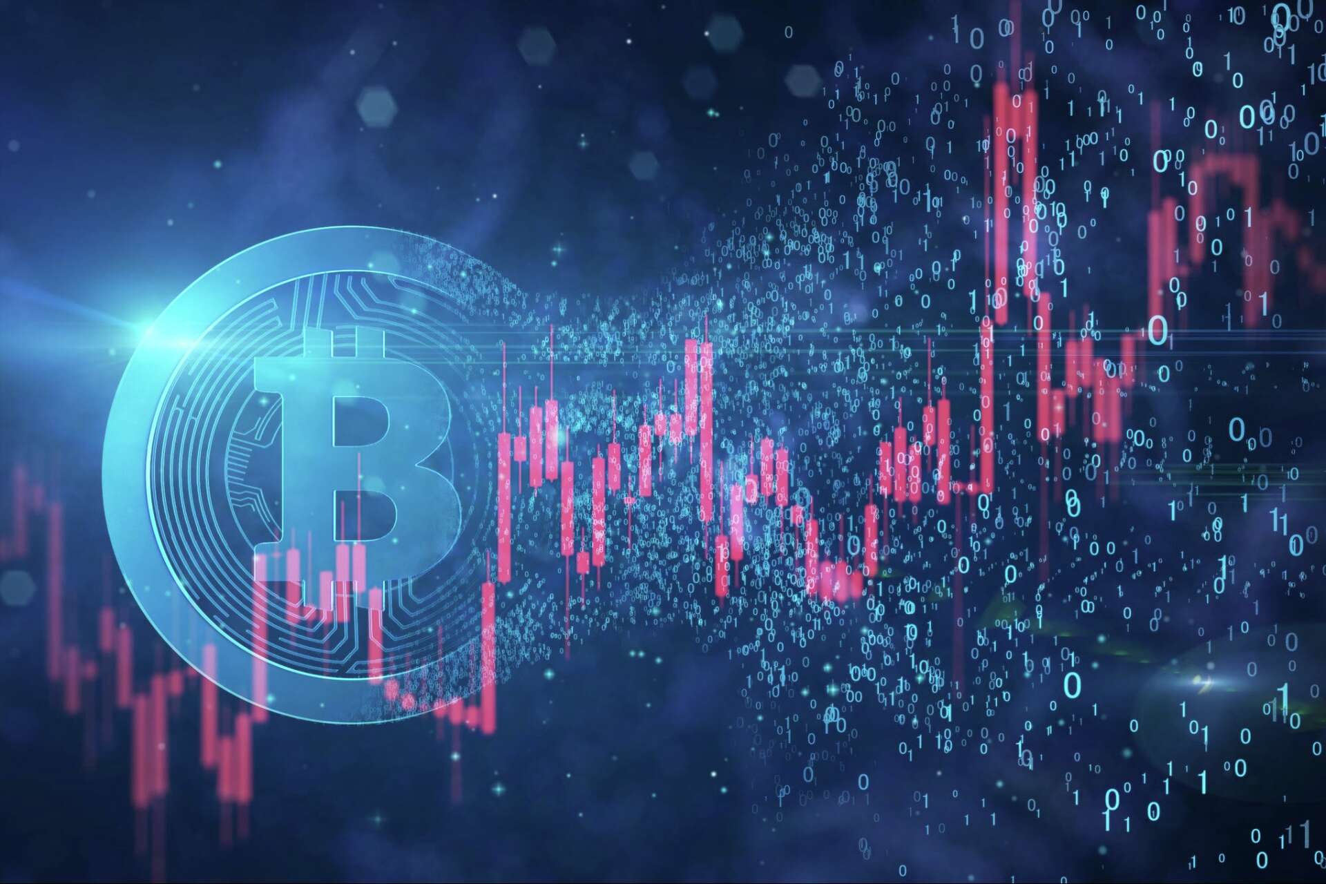 The Complete Guide to Crypto, Bitcoin, ApeCoin and Blockchain Technology