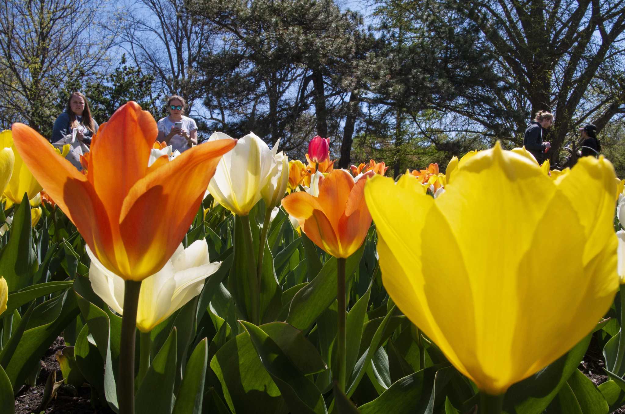 Things to do near Albany, Saratoga Springs, Troy this weekend - Vimarsana News