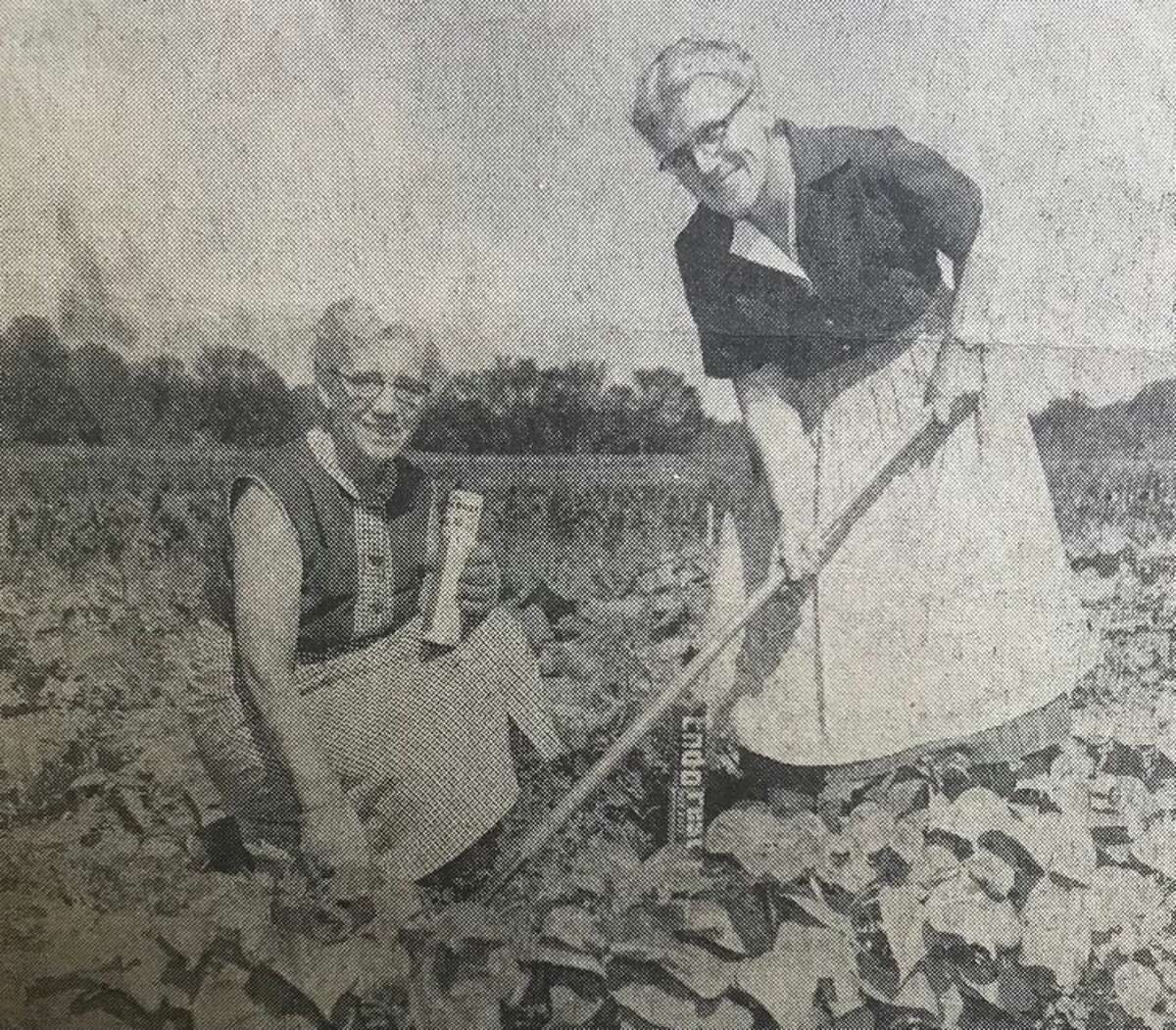 Marit Oie, left, and Margrethe Oie, 1802 Eastman, at the garden plot, rented by their brother Michael Oie, they have had for seven years. July 1957