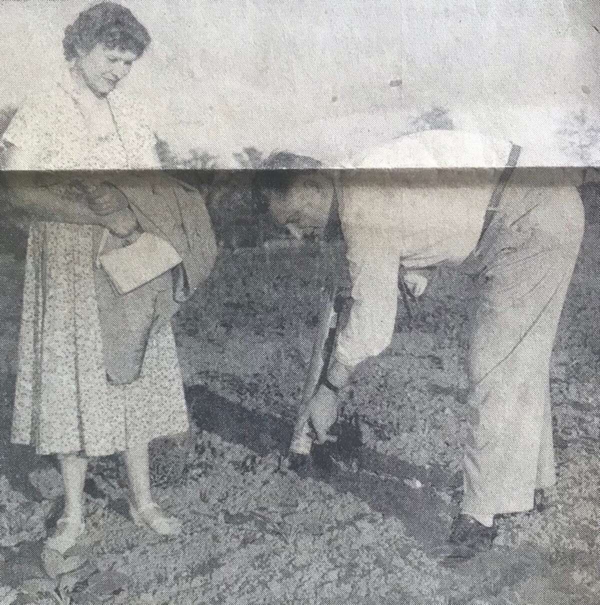 Mr. and Mrs. Peter Chevis, 915 Eastman, are raising vegetables on their plot to put in their freezer. Peter Chevis sprays Brussels sprouts. Many families split their full-size plots with others. July 1957