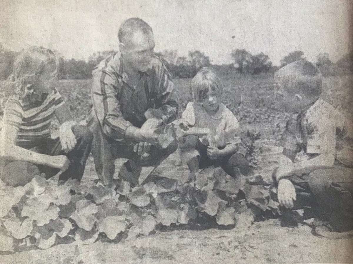 Robert Hedlund, 202 Williams, gets some help thinning out squash from his children, Linda, 9, Kathleen, 4, and Billy, 7, in the garden. July 1957