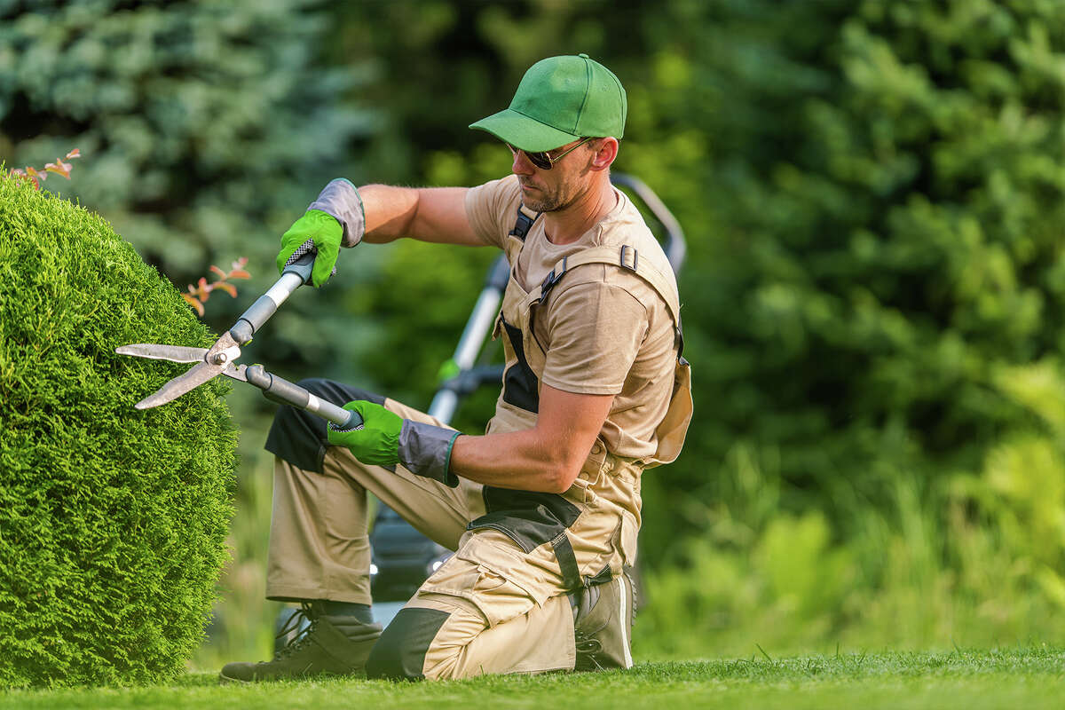Get perfectly manicured lawns without the sweat!