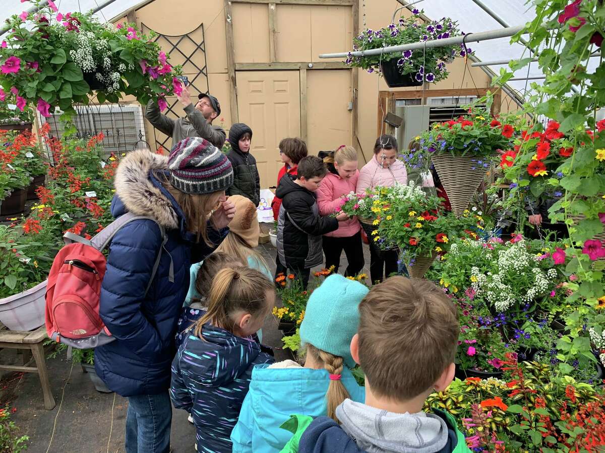 Trinity students visit Pleasanton Valley Greenhouses