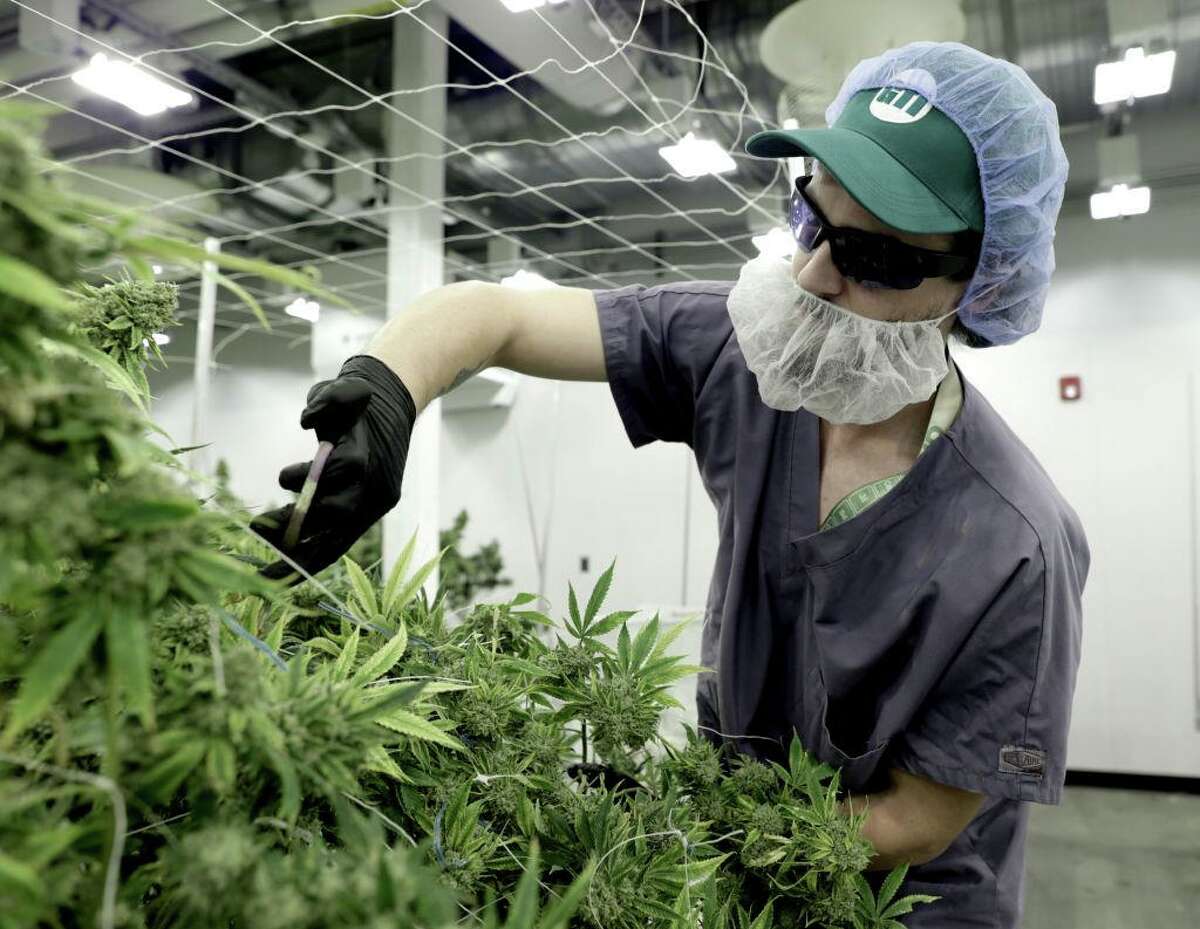 Green Thumb Industries has marijuana facilities in more than a dozen states such as this one in Massachusetts, shown in 2019.
