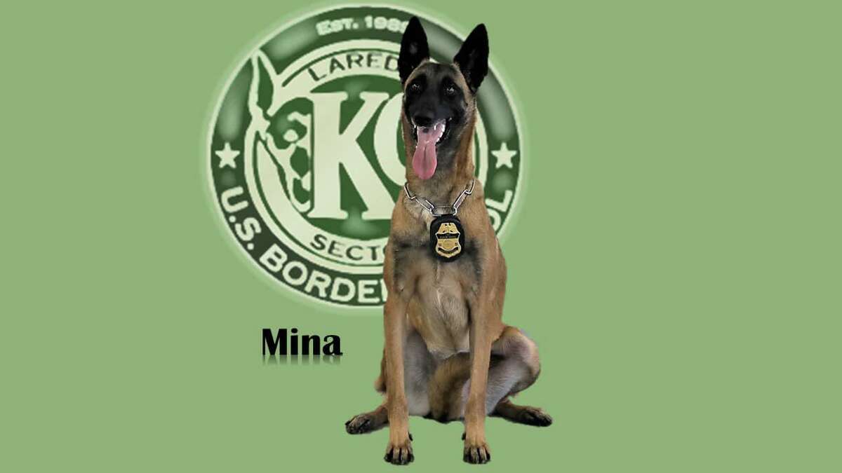 “Mina,” a Laredo North Sector K-9, died Monday after a rattlesnake bite.