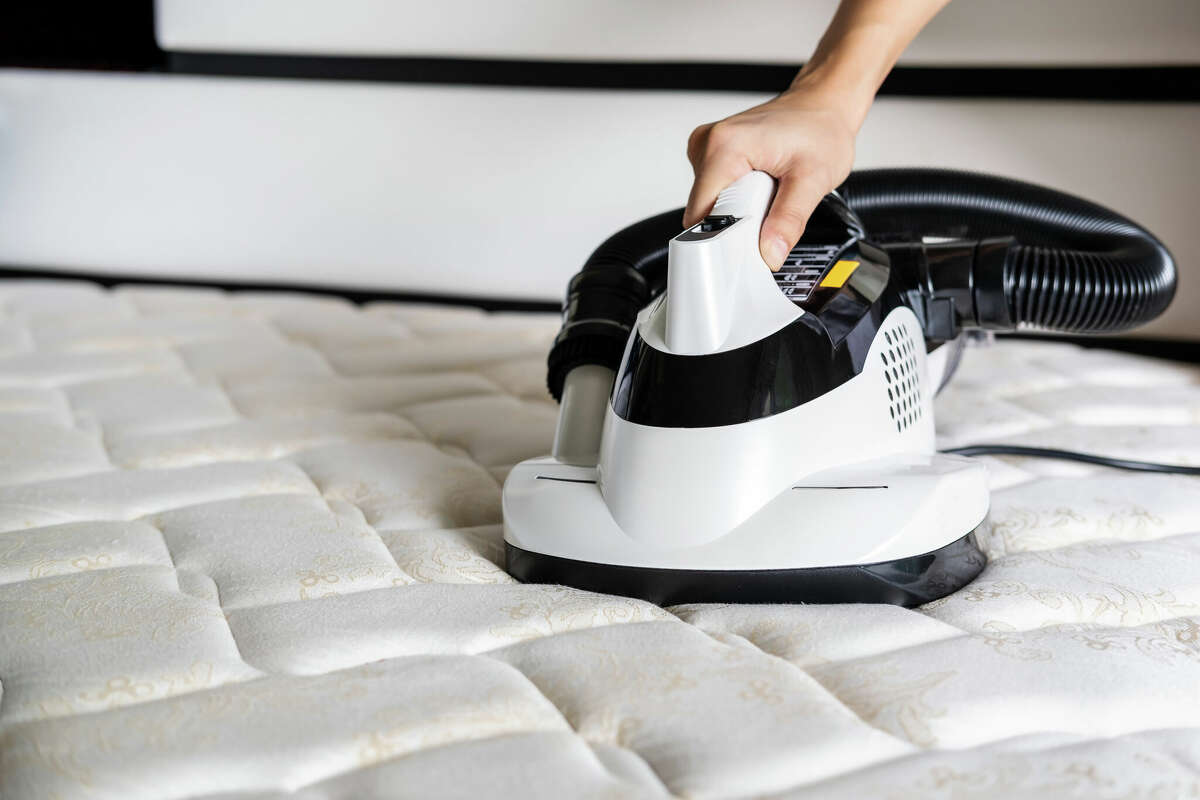 Cleaning pee (human or animal) out of a mattress isn't as hard as you'd think. 