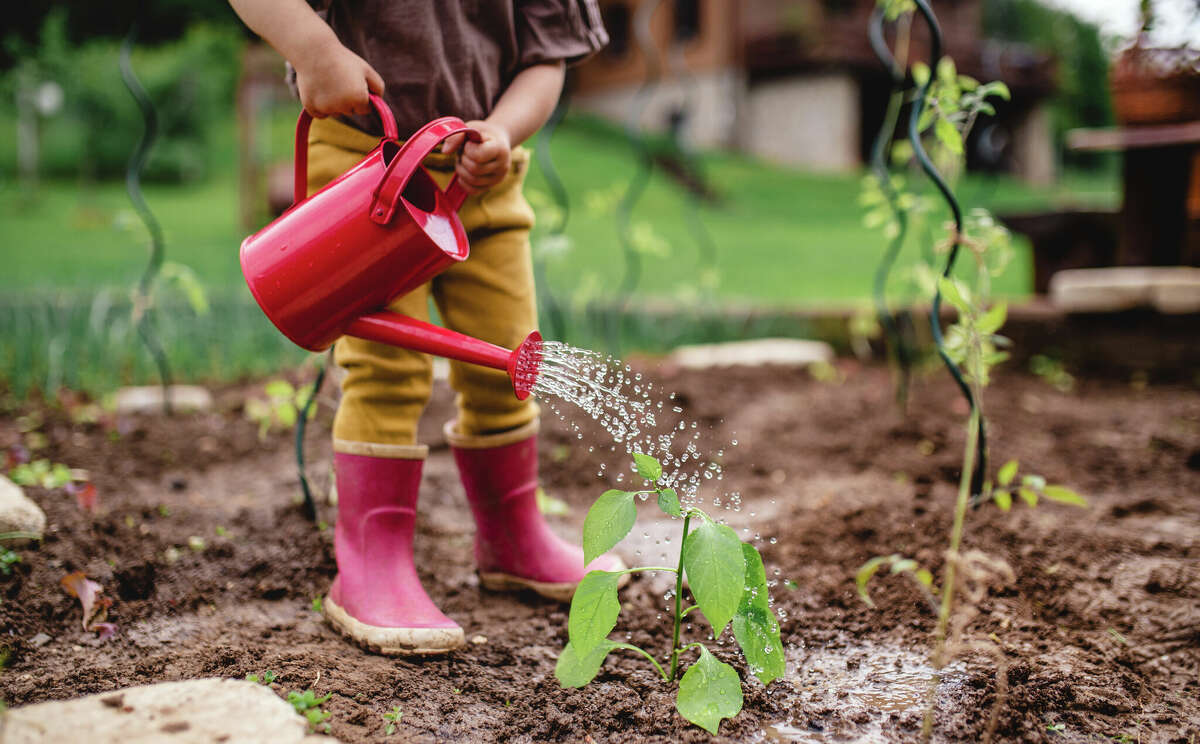 gardening crocs