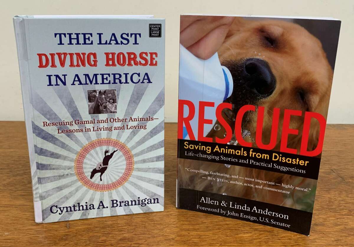 Reports of animal abuse closed the main attraction in Atlantic City, and the horse was put up for auction. Cynthia Branigan’s “The Last Diving Horse in America: Rescuing Gamal and Other Animals-Lessons in Living and Loving” tells the story of this beloved animal and his new owner, who rescued other animals as friends for the horse.