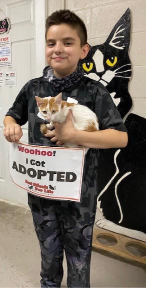 Grant awarded to help control cat overpopulation in Laredo - Vimarsana News