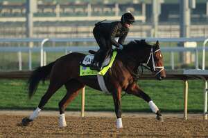What to know about the CT horse in the Kentucky Derby