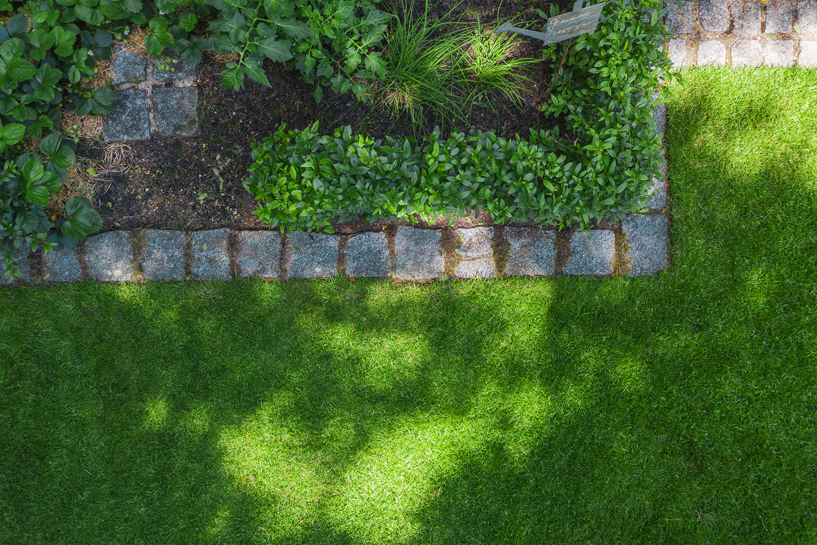 Best landscaping services in Oakland