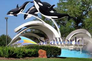 SeaWorld attendance tops pre-pandemic levels in first quarter