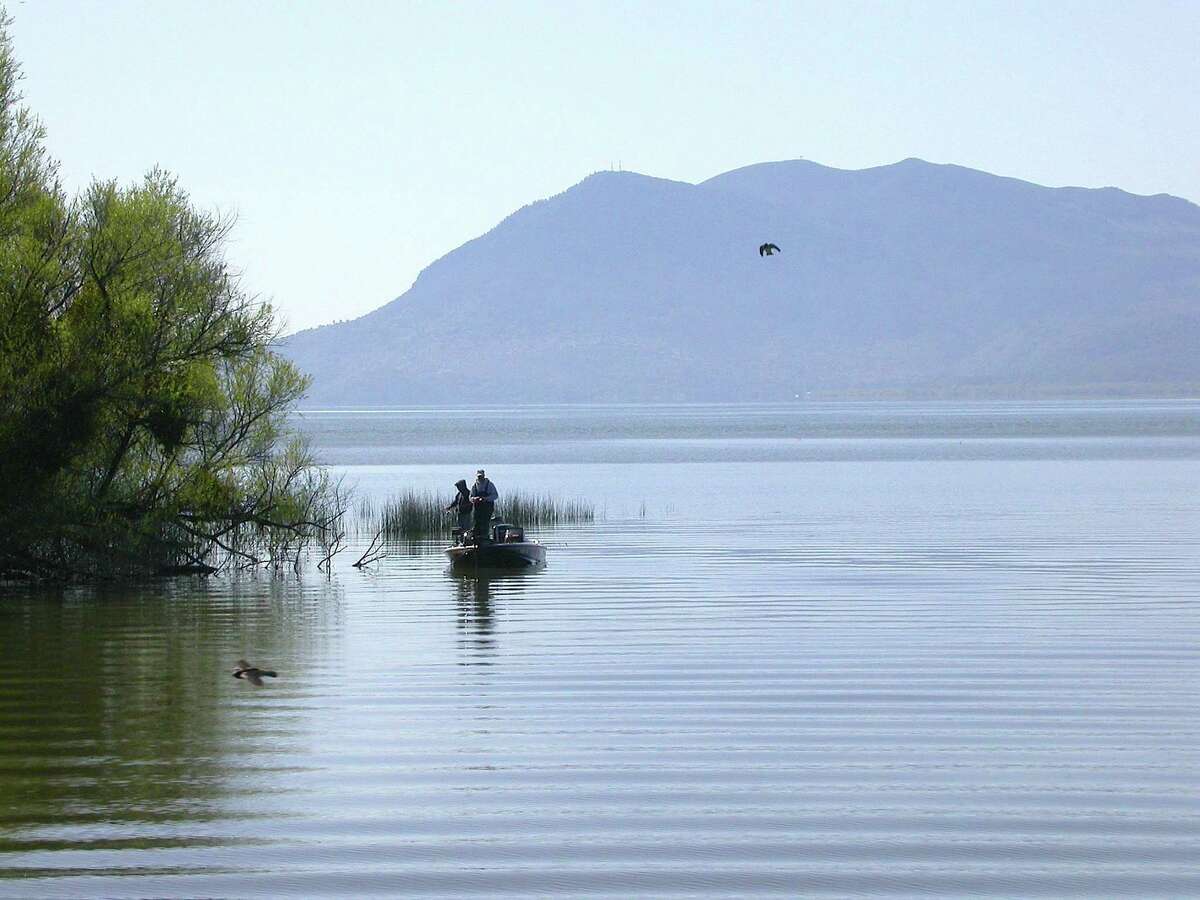 California drought: Fish dying in dried-up Clear Lake streambeds. Two bass fishermen cast on Clear Lake with Mount Konocti looming in the background, as swallows dip and dive and a grebe bobs on the surface.