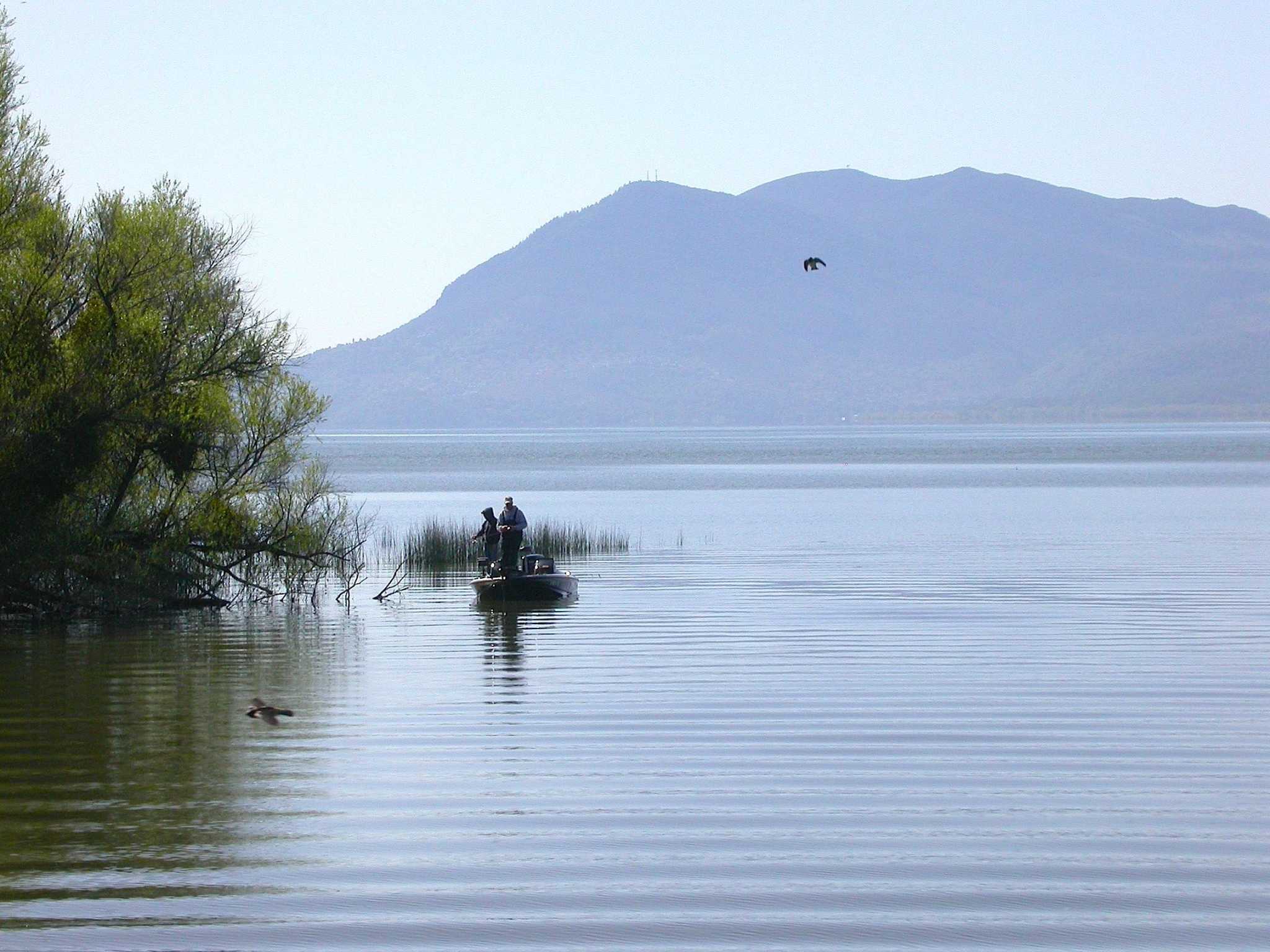 At California's second-largest lake, fish are dying in dried-up streambeds - Vimarsana News