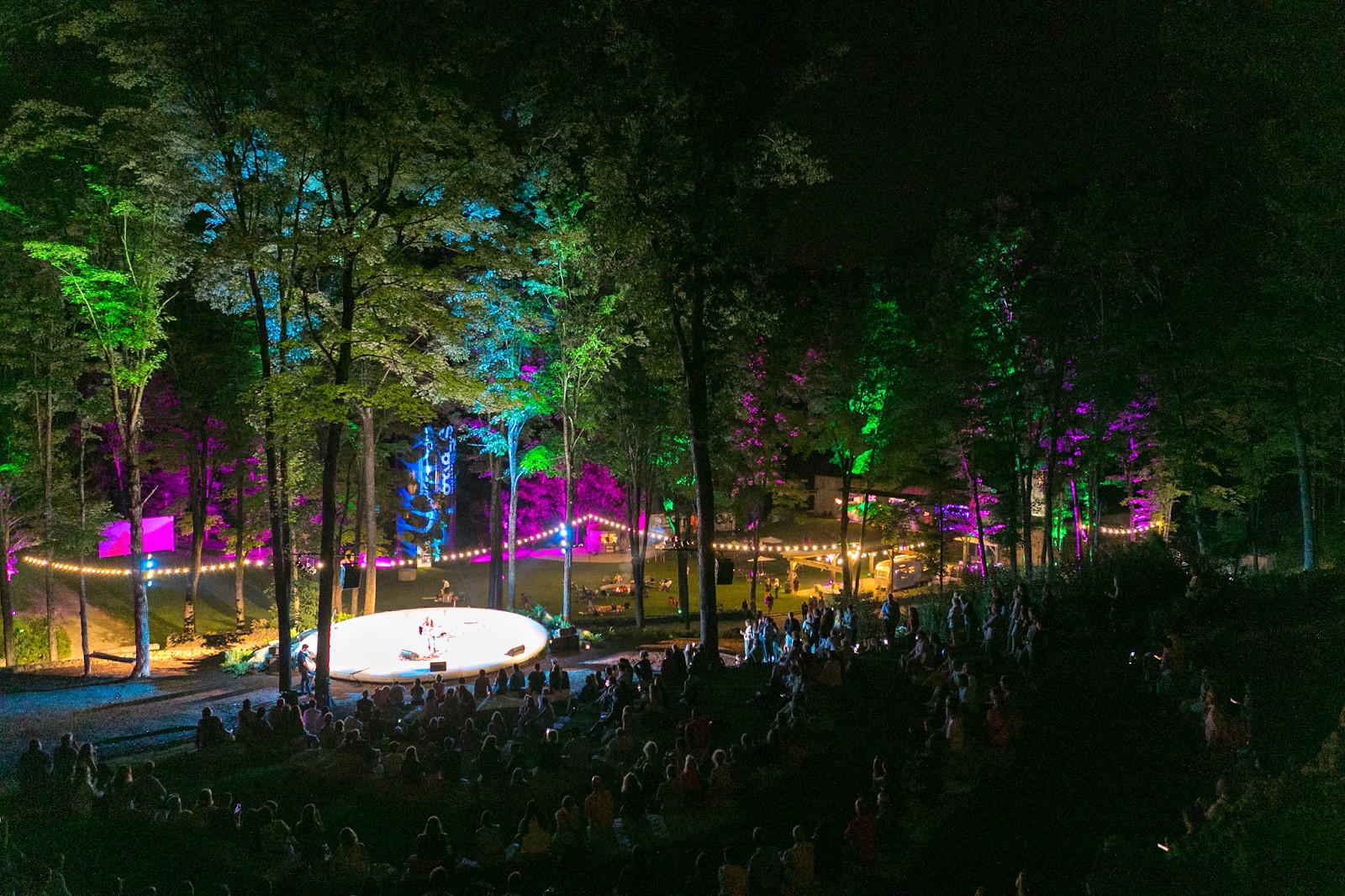Spring Hill Arts Festival returns to Washington in June - Vimarsana News