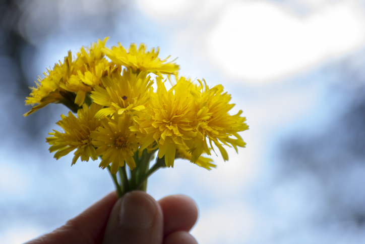 Commentary: Robin writes by Robin Garrison Leach — The best bouquet ever - Vimarsana News