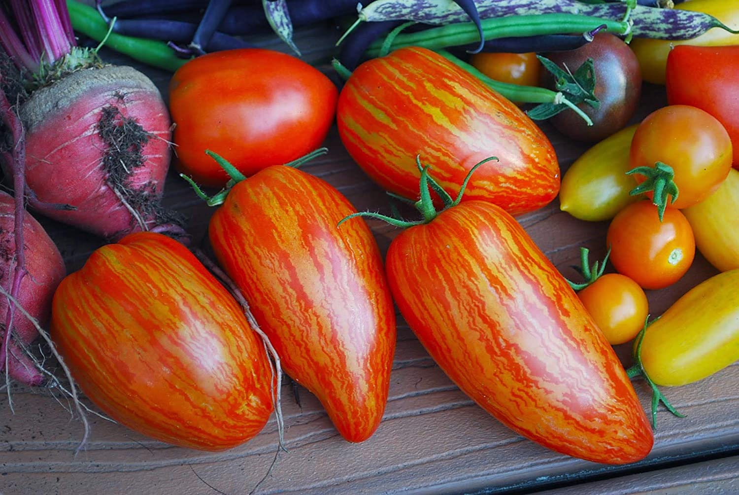 Heirloom tomato seeds: Where to buy them and tips for growing - Vimarsana News