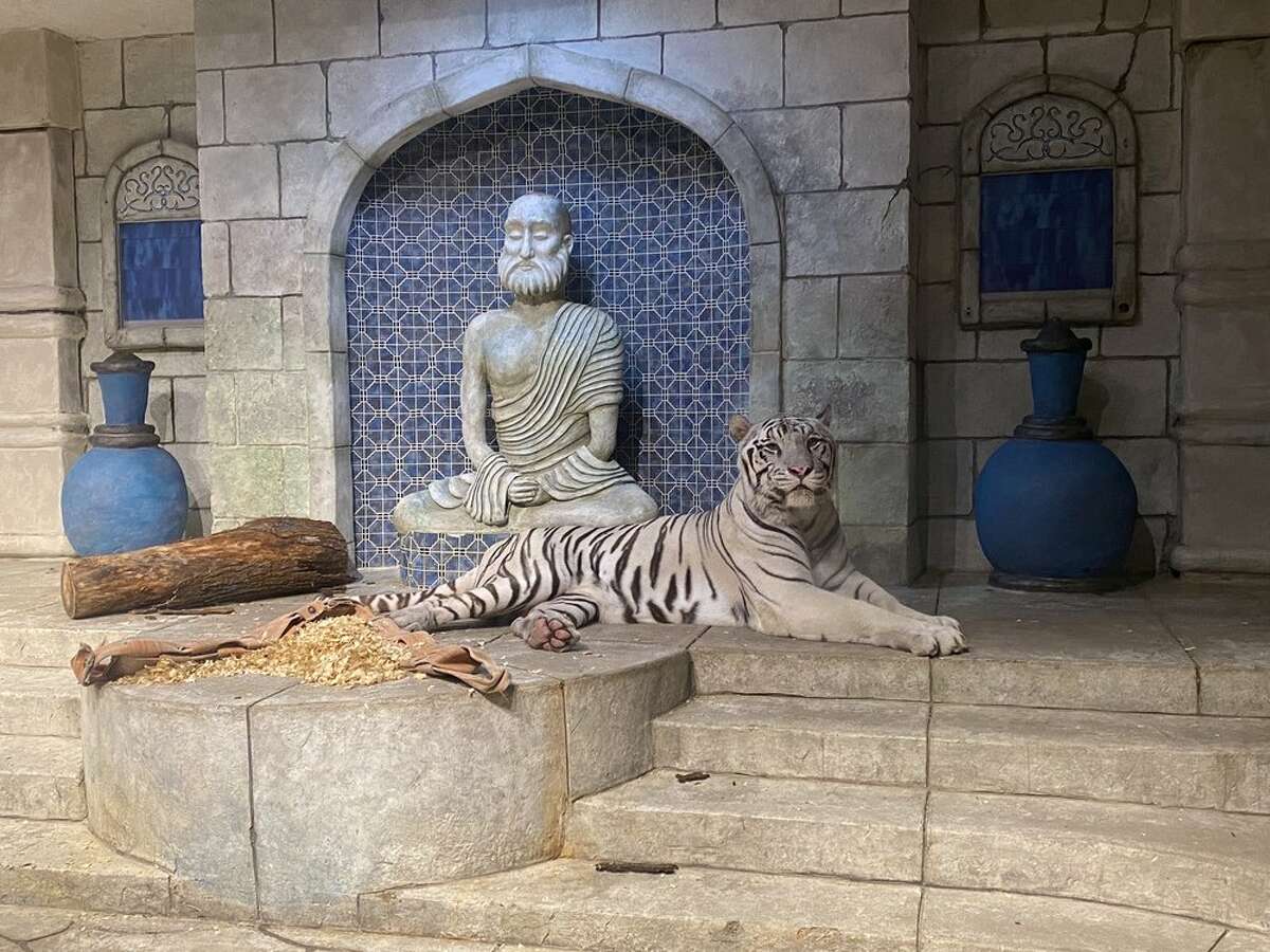 An insider's guide to the Downtown Aquarium in Houston