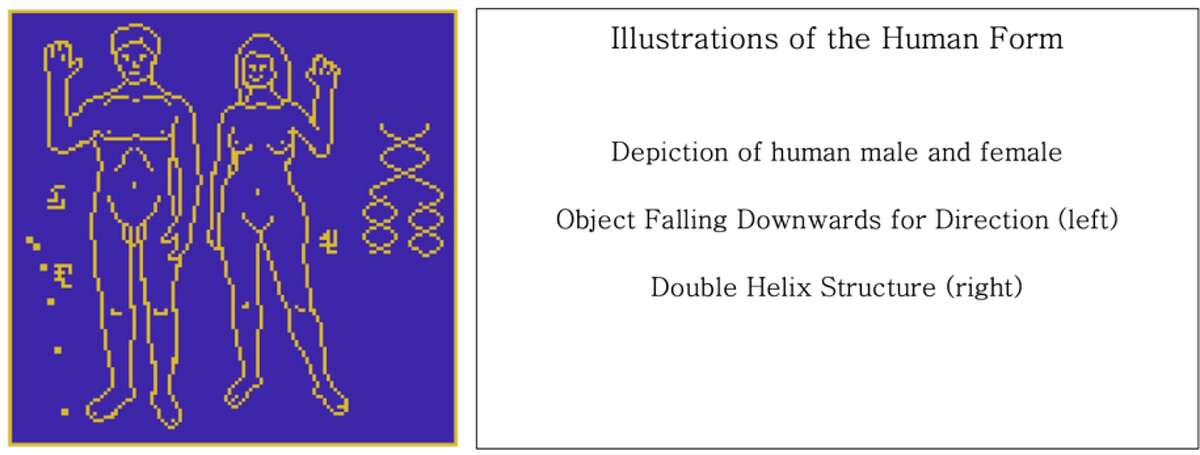 NASA's sketches include a depiction of naked humans alongside a DNA structure.