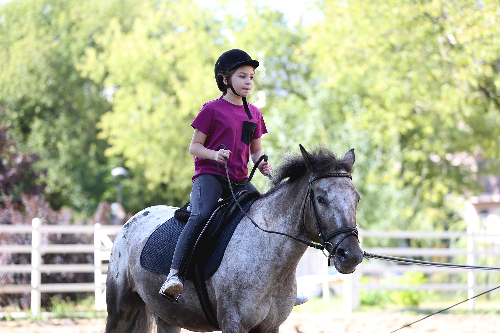 Wesley Clover Park Horseback Riding