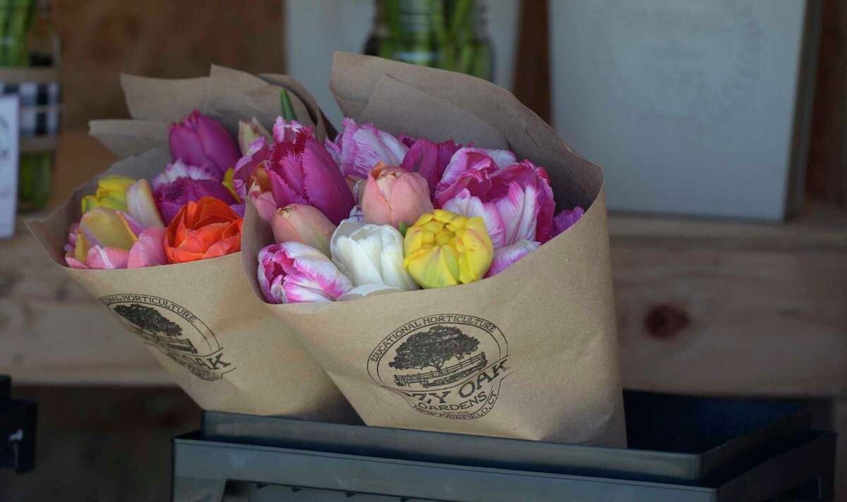 New Fairfield flower gardener looks to ‘spread joy, one bloom at a time