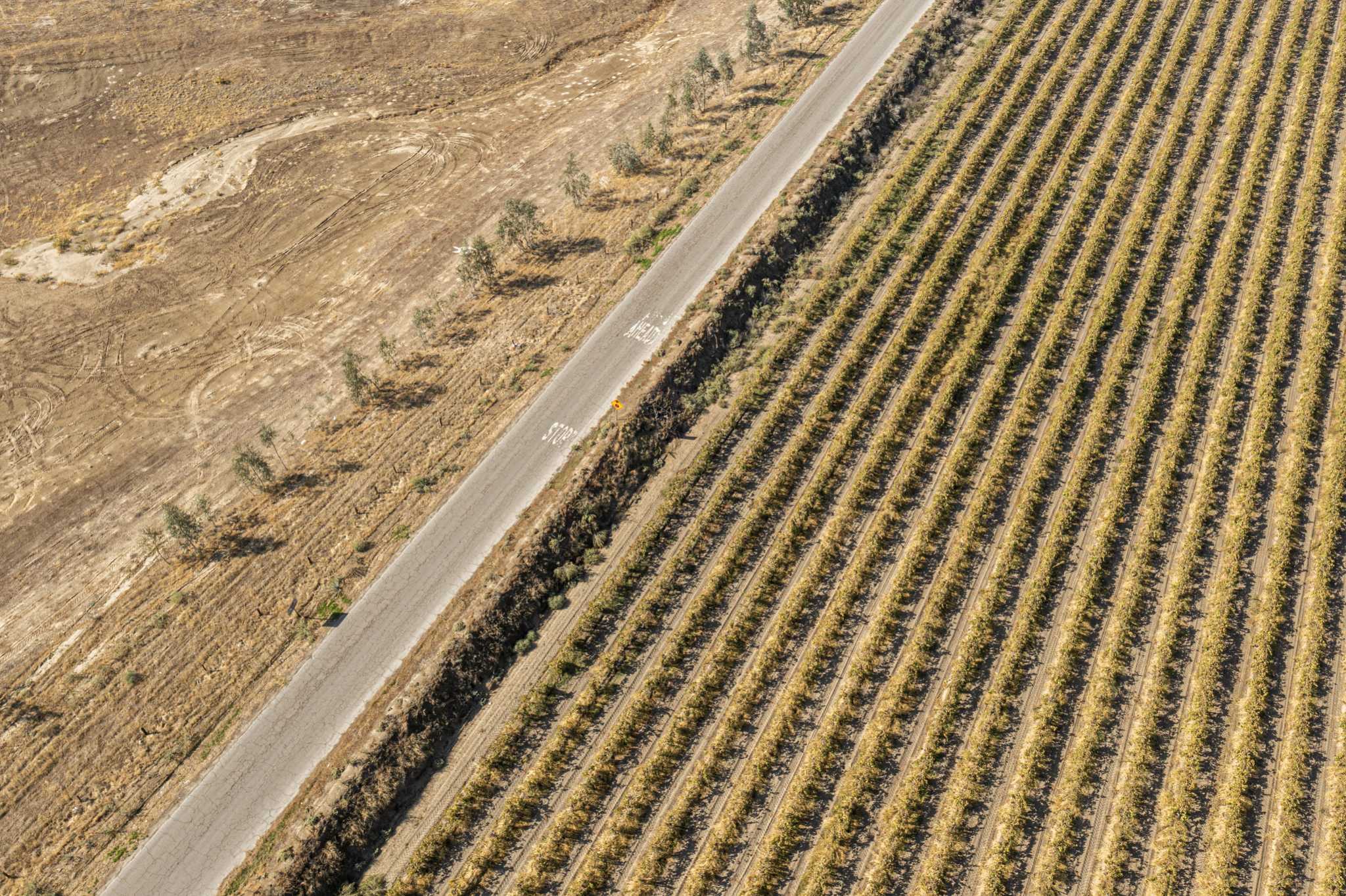 Cash for farmworkers? California lawmaker says new $20 million idea will help amid drought - Vimarsana News