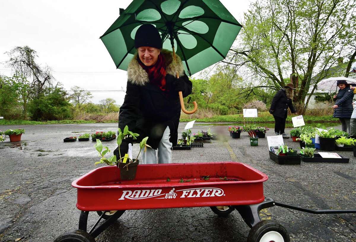 In photos Garden Club of Old Greenwich holds Mother’s Day flower sale